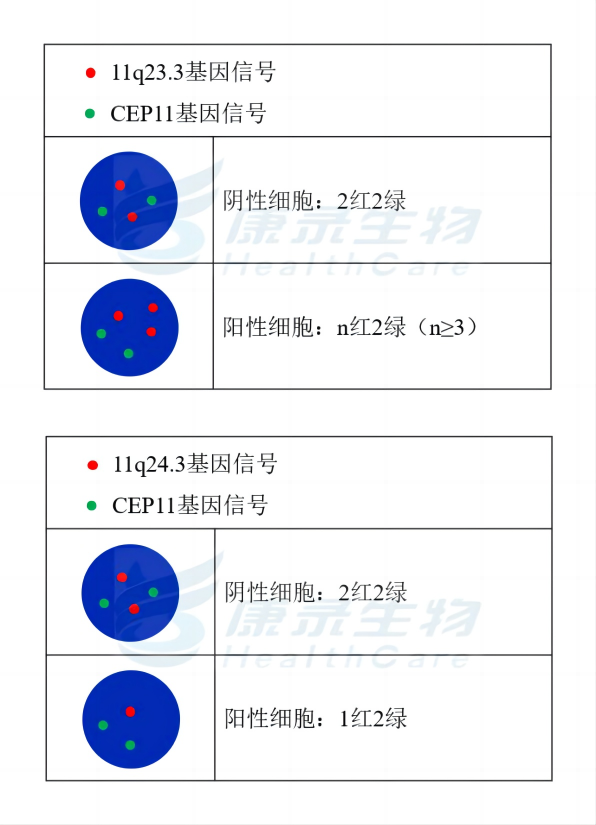 中国·拉斯维加斯(3499·官方认证)网站-Officialwebsite